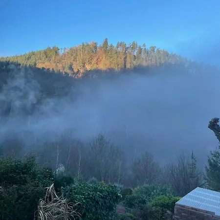 Dicker Stein Apartament Lambrecht (Pfalz)