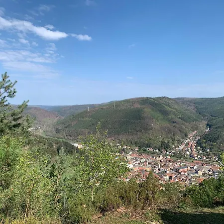 Dicker Stein Lambrecht (Pfalz)