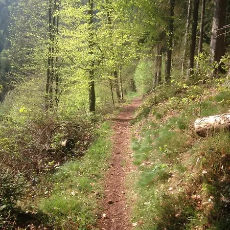 Dicker Stein Lägenhet Lambrecht (Pfalz)