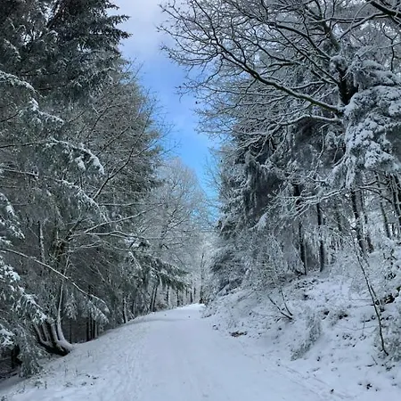 アパート Dicker Stein Lambrecht (Pfalz)