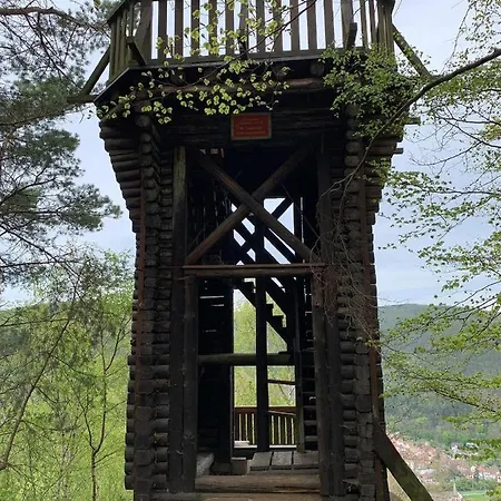 Dicker Stein Апартаменты *