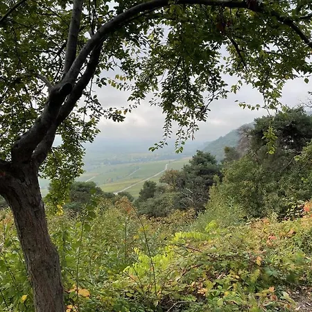 Апартаменты Dicker Stein *