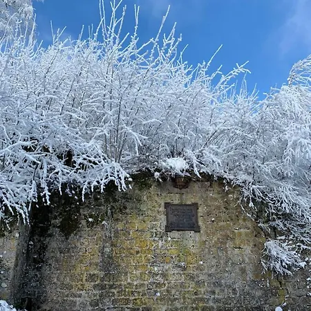 Dicker Stein * Lambrecht (Pfalz)