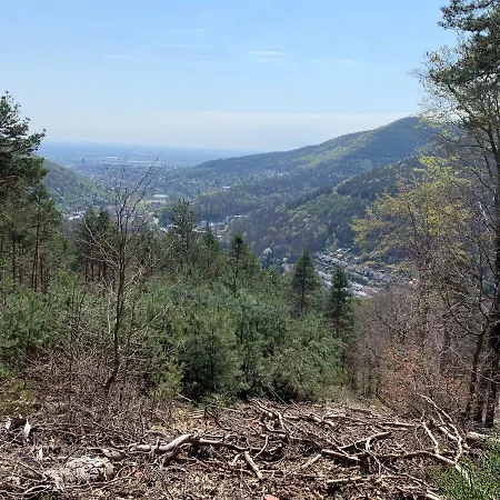 Апартаменты Dicker Stein