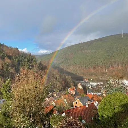 Dicker Stein Lambrecht (Pfalz)