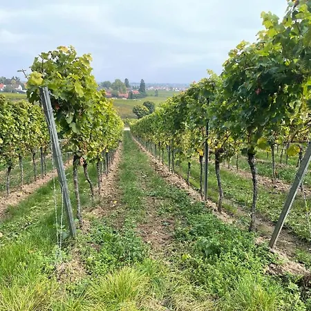 Dicker Stein Lambrecht (Pfalz)