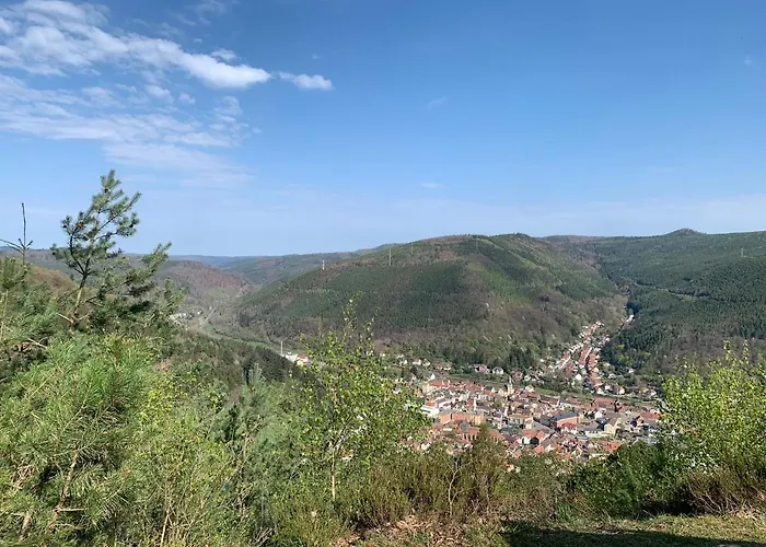 Dicker Stein Lambrecht (Pfalz)