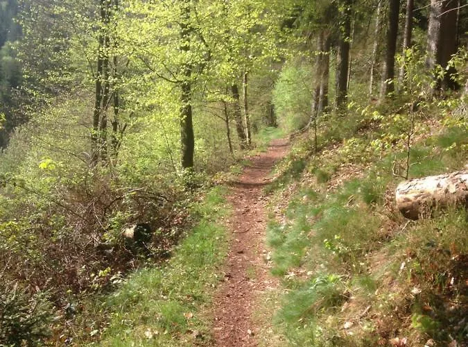 Dicker Stein 公寓 Lambrecht (Pfalz)