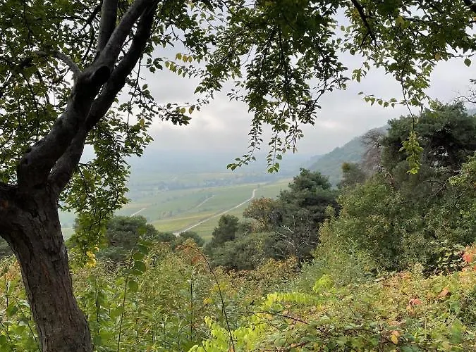 公寓 Dicker Stein *