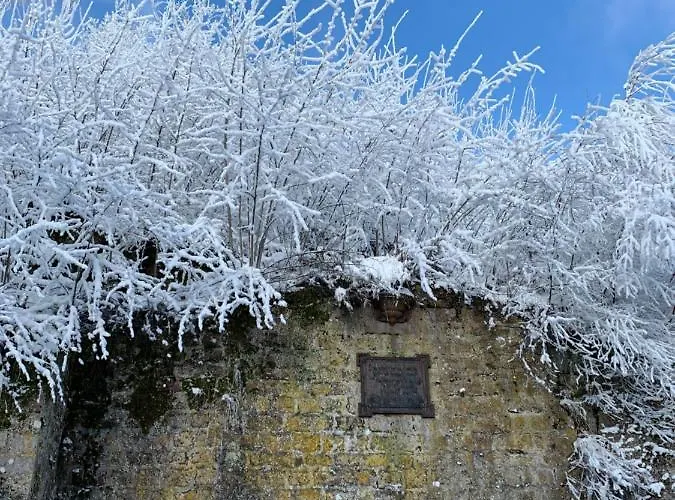 Dicker Stein * Lambrecht (Pfalz)