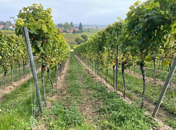 Dicker Stein Lambrecht (Pfalz)