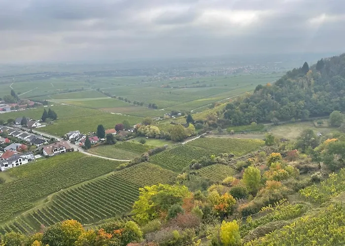 公寓 Dicker Stein Lambrecht (Pfalz)