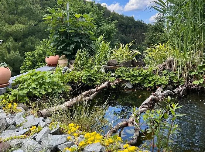 Dicker Stein 公寓 Lambrecht (Pfalz)